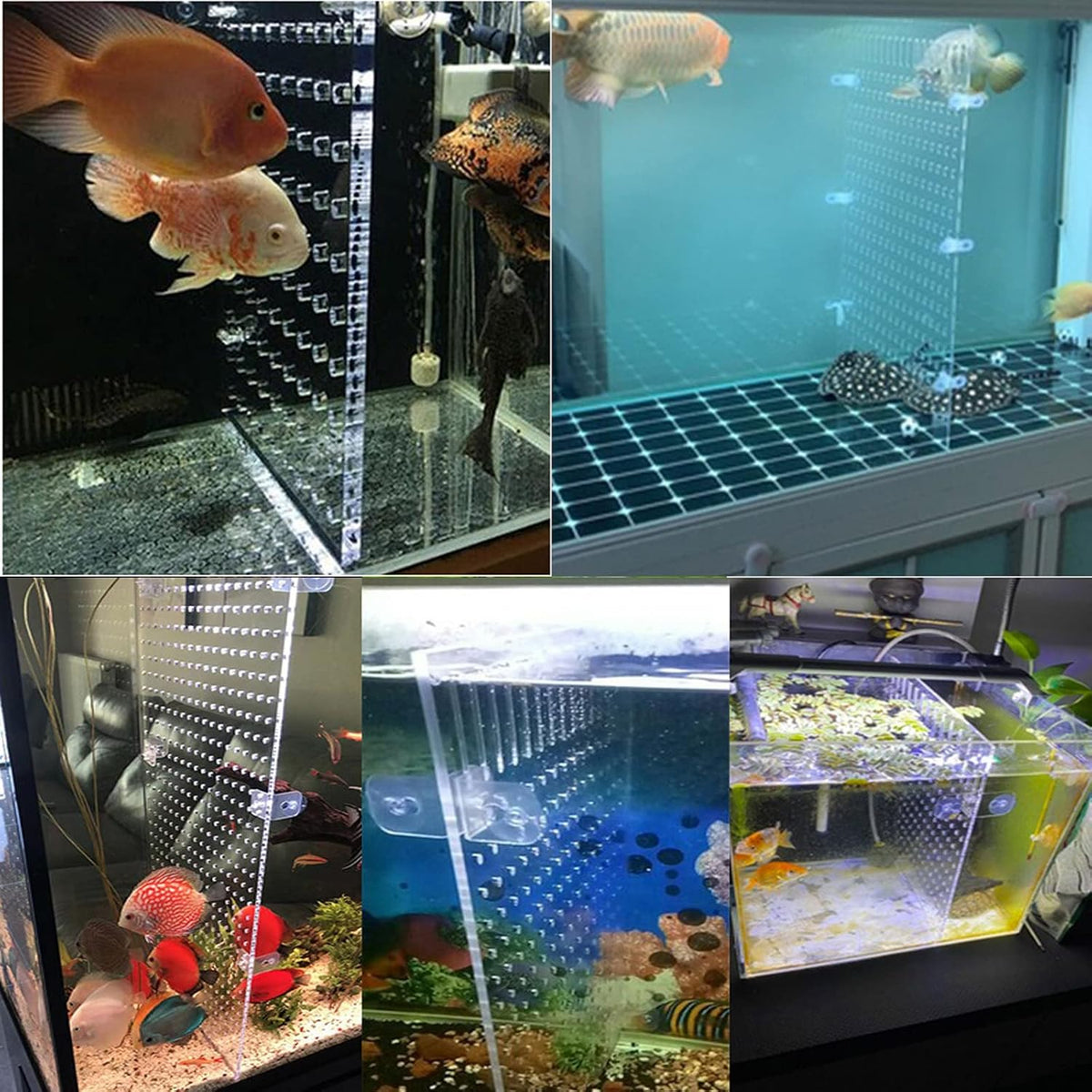 Aquarium Fish Tank Divider Acrylic Isolation Grid Board with Suction - 25x30cm - image 3