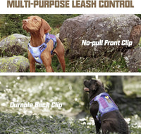 AUROTH Dog Harness for Large Dogs - Very Peri / M(Neck:16-22",Chest:22-33"),35-50 lbs - image 3
