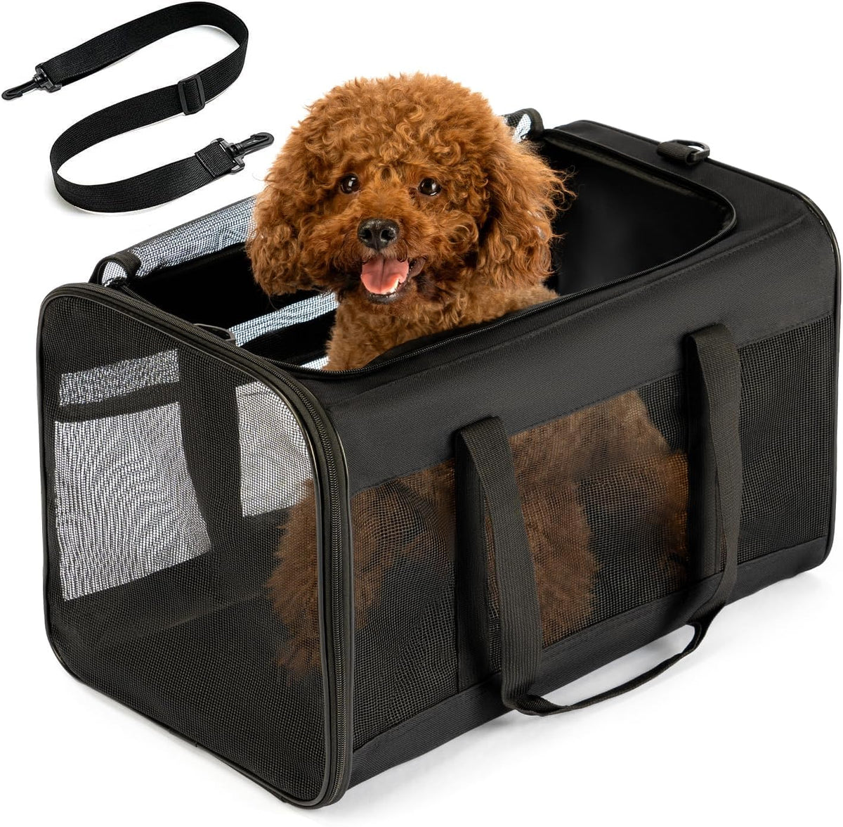 Conlun Cat Carrier Bag, Soft-Sided Pet Carriers for Dogs, M - 20.0"L x 12.0"W x 12.0"H / Black