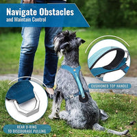 No-Pull Dog Harness with Handle - Escape Proof, Anti-Pulling, Grip Control, Multi-Angle Reflective for Safe Walks & Training, Easy On & Off, Metal Buckle–Pet Harness, Medium/Large Dogs- H3- Blue