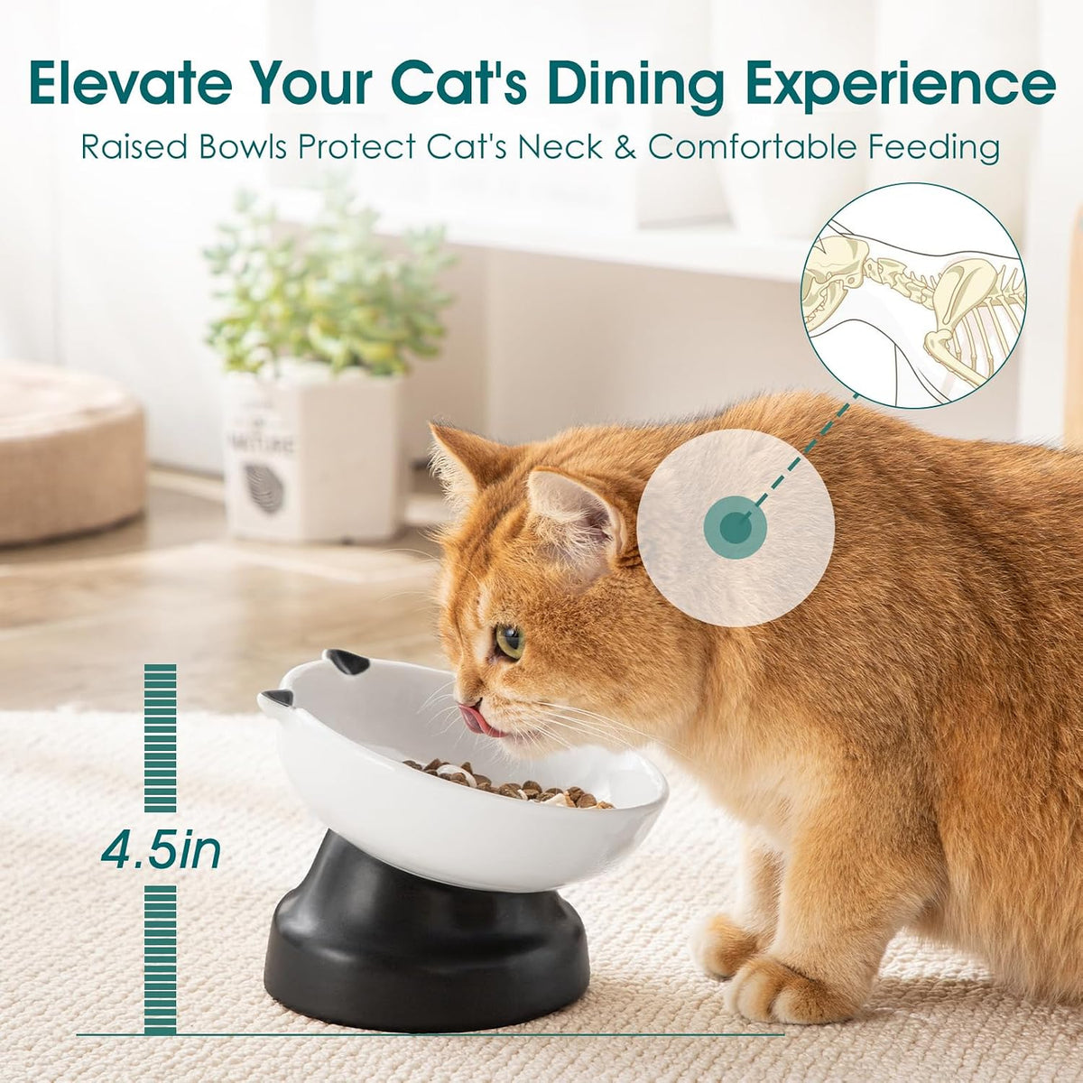 vancasso Slow Feeder Cat Bowls - Black - image 3