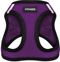 Voyager Step-in Air Dog Vest Harness - Purple/Black Trim / M (Chest: 16 - 18")
