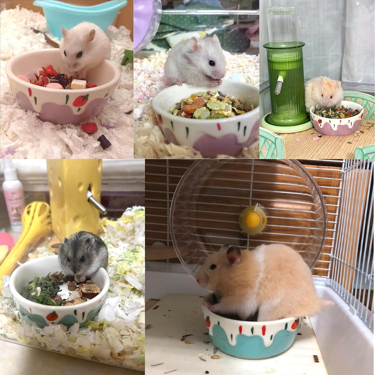 2 Pack Ceramic Guinea Pig Food Bowl Hamster Food Bowls for Gerbil Rat – Essentials for Small Pets - Purple + Blue - image 3