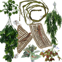 Reptile Plants for Bearded Dragon Tank Accessories - Group Gn