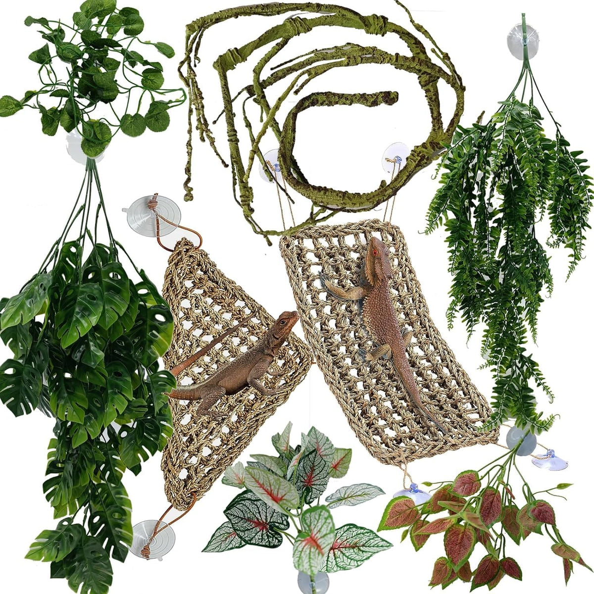 Reptile Plants for Bearded Dragon Tank Accessories - Group Gn