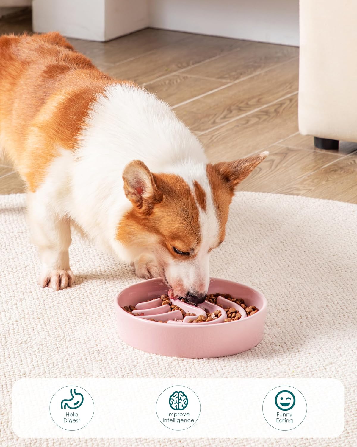 vancasso Slow Feeder Dog Bowl - Pink / 1.5 Cups - image 2