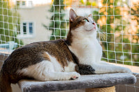 AIYGO cat balcony netting, 10 x 20 ft clear nylon anti-fall net for balconies and windows