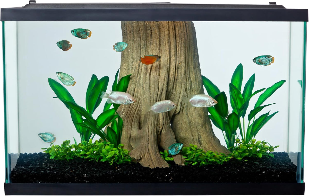 Tetra LED 10 Gallon Complete Fish Tank Kit – Essentials for Fish - 29 Gallons - image 2