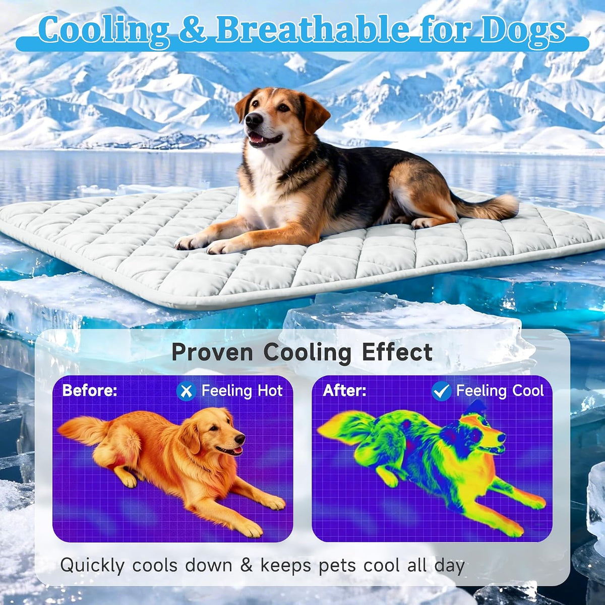 Dog Cooling Mat, Premium Lightweight Pet Cooling Blanket Bed Cover for Dogs, Cat, Puppies | Ice - X-Large / Double-Sided Printing - image 3