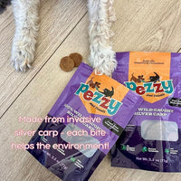 Silver Carp Chips Dog & Cat Treats | Single Ingredient | Wild Caught | Made w/Invasive Fish | Grain Free | High Protein + Low Fat | Hypoallergenic | Made in The USA (2 Pack)