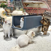 Large Stainless Steel Litter Box with Lid, High Sides, 16" Metal Cat Litter Box, Extra Large Litter Boxes for Big Cats, Tall Cat Litter Pan, Grey, Easy Clean
