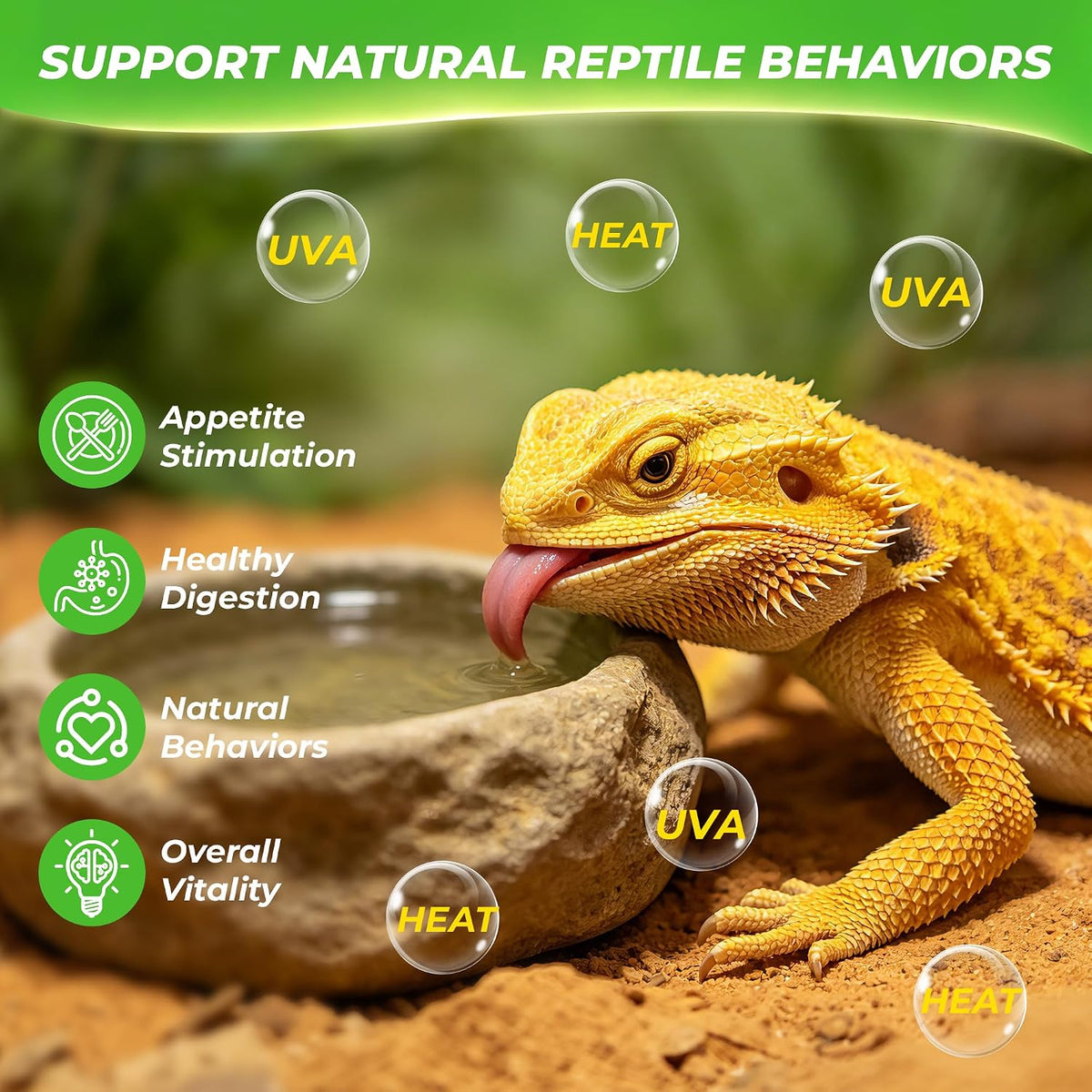 LUCKY HERP Reptile Heat Lamp Bulbs 100W - 75 - image 4