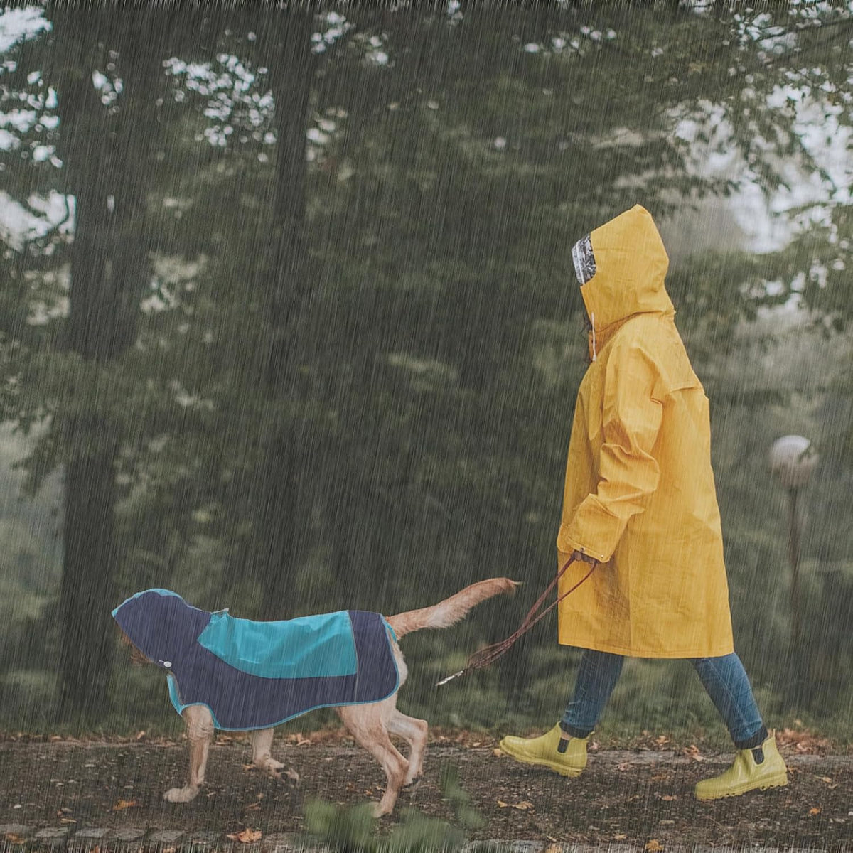 Hooded Dog Raincoat, Reflective Large Dog Rain Poncho - Small / Blue - image 4