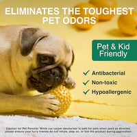 Good Natured Brand | Laundry Bundle | Carpet Freshener Lemon & Eucalyptus 47oz | Pet-Friendly Carpet Deodorizer | Laundry Powder Peppermint 47oz | Hypoallergenic Laundry Powder 94 Loads