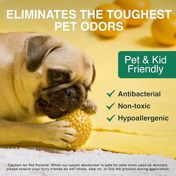 Good Natured Brand | Laundry Bundle | Carpet Freshener Lemon & Eucalyptus 47oz | Pet-Friendly Carpet Deodorizer | Laundry Powder Peppermint 47oz | Hypoallergenic Laundry Powder 94 Loads