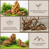 6.1-8.1 Inches Natural Dragon Stone, Terrariums - 10.0-12.0 in - image 4