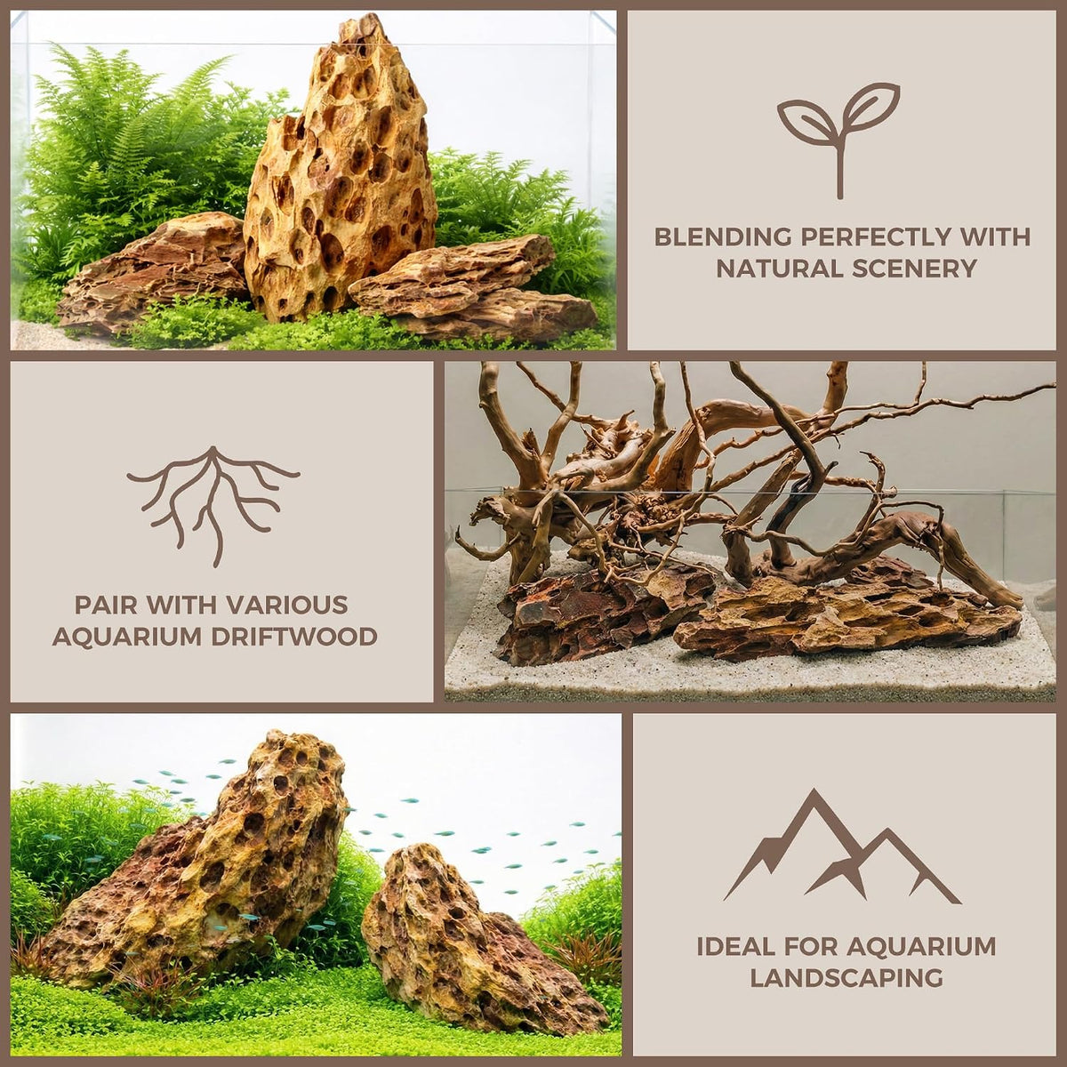 6.1-8.1 Inches Natural Dragon Stone, Terrariums - 10.0-12.0 in - image 4
