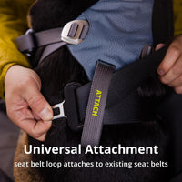 Ruffwear, Load Up Dog Car Harness - Slate Blue / XX-Small - image 4