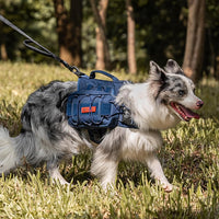 OneTigris Dog Backpack for Medium & Large Dogs - Blue / Medium - image 4