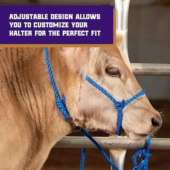 Weaver Leather Livestock Cattle Poly Rope Halter Black