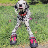 QUMY Dog Shoes for Large Dogs, Medium Dog Boots & Paw Protectors for Winter Snowy Day, Summer Hot Pavement, Waterproof in Rainy Weather, Outdoor Walking, Indoor Hardfloors Anti Slip Sole Red Size 4