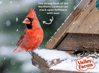 Valley Farms Fruit Nut & Berry (4 LB) Wild Bird Food Outside Feeders, Bird Seed with Dried Fruit, Peanuts, Sunflower, and Safflower, High Energy Mix for Healthy Birds!