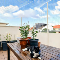 Cat Netting Balcony, UV & Weather-Resistant Cat Balcony Safety Net, Transparent Nylon Pet Mesh - Transparent 10x20ft - image 2