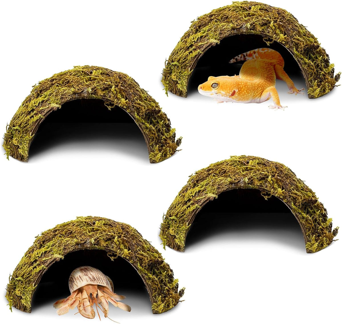 PINVNBY 2 PCS Natural Coconut Reptile Hideouts Lizard Coco Hut Hermit - Moss Surface / 4 PCS