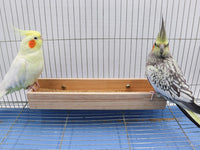 Bird Feeding Cups, Natural Wooden Parrot Perch Stand - 11.8 × 3.1 Inch - image 2