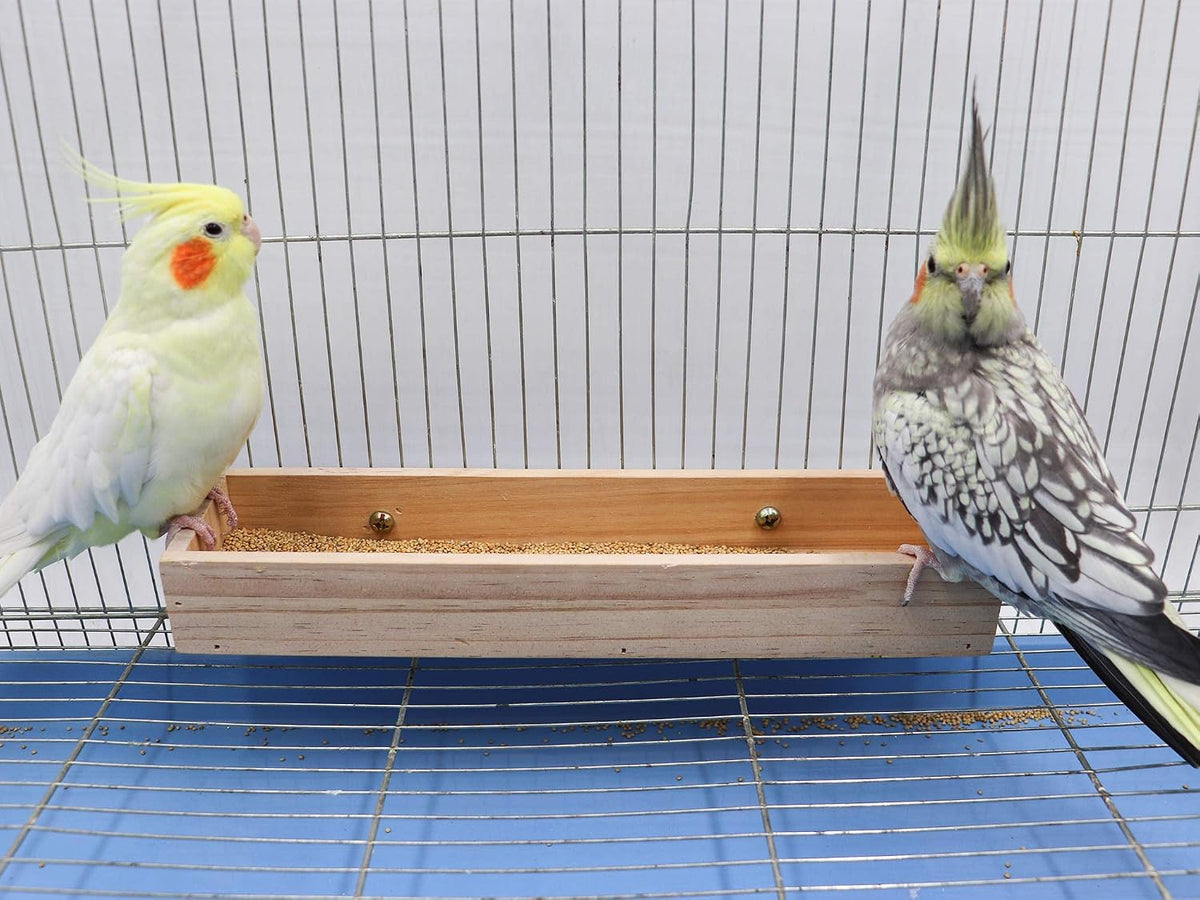 Bird Feeding Cups, Natural Wooden Parrot Perch Stand - 11.8 × 3.1 Inch - image 2
