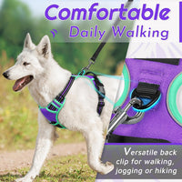 Eagloo Dog Harness for Large Dogs - Large / Purple & Turquoise - image 3
