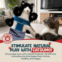 Wearable Cat Toy Wrestling Glove Puppet - image 3