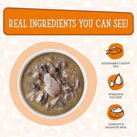 Weruva Cats in The Kitchen, Pumpkin Jack Splash with Tuna in Pumpkin Soup Cat Food, 3oz Pouch (Pack of 12)