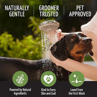 Tauro Pro Line Deep Cleansing Natural Dog Shampoo for Smelly Dogs, Wash for Dandruff and Dry Itchy Sensitive Skin, Cat & Puppy Shampoo (Herbal Detox -13.5 Fl Oz)
