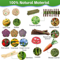 WDEFUN 21-Piece Natural Small Pet Chew Toys Set for Rabbits, Hamsters & Organic Grass Mat, Hay Sticks, Loofah Slices, Wooden Chews & More for Dental Health & Boredom Relief