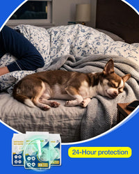 Dog Diapers Male Disposable, Belly Bands for Male Dogs, S 26pcs – Essentials for Dogs - XS-26 - image 2