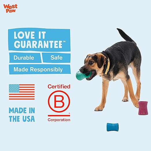WEST PAW Funnl Dog Chew Toy - Interactive Treat Toys for Dogs - Toy Fillable with Earth Animal No-Hide Chews - Large 4.25" Marine | Made in USA