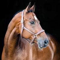 HORZE Warren Soft Adjustable Genuine Leather Horse Halter | Stainless Steel Hardware - Light Brown - Warmblood