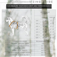MADE TO ROAM Premium Explorer Harness - Y-Shaped Dog Harness with Adjustable Durable Nylon, Soft Padding, Metal Buckles and Leather Handle for Small, Medium, Large Dogs (Carolina Blooms, Size 6)