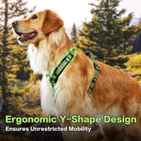CLEPAWS Dog Harness for Large Dogs, No Pull Dog Harness Easy Walk with Metal Hardware, Ergonomic Y-Shaped Design, Soft Padding, Padded Handle, Durable High-Tensile Nylon (Evergreen, L)