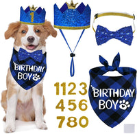 STMK Dog Birthday Party Supplies - Large / Blue