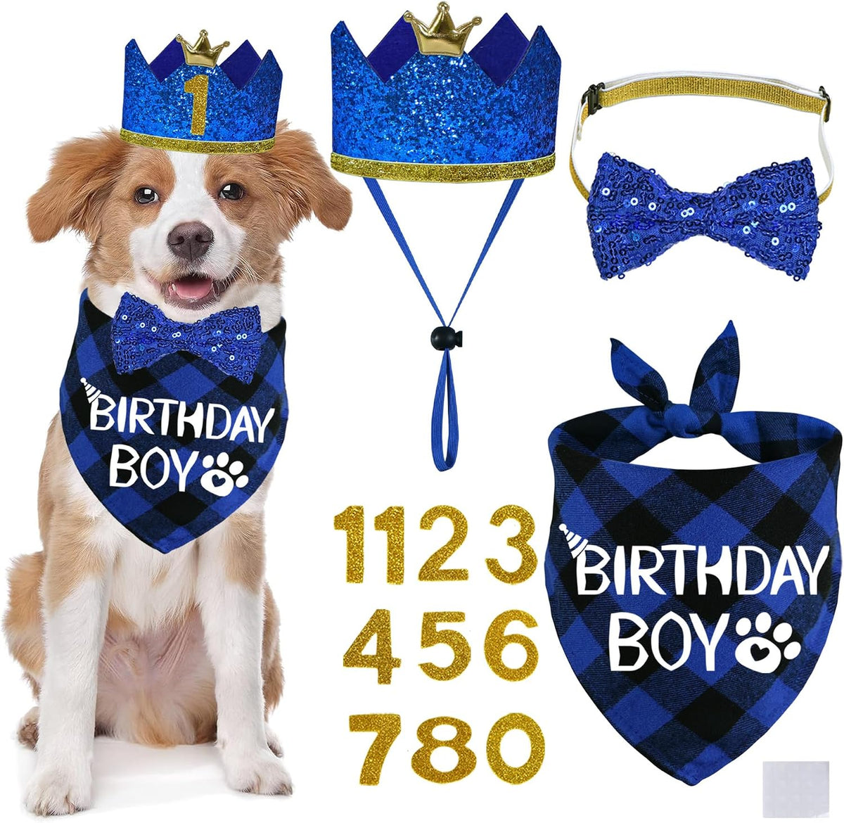 STMK Dog Birthday Party Supplies - Large / Blue