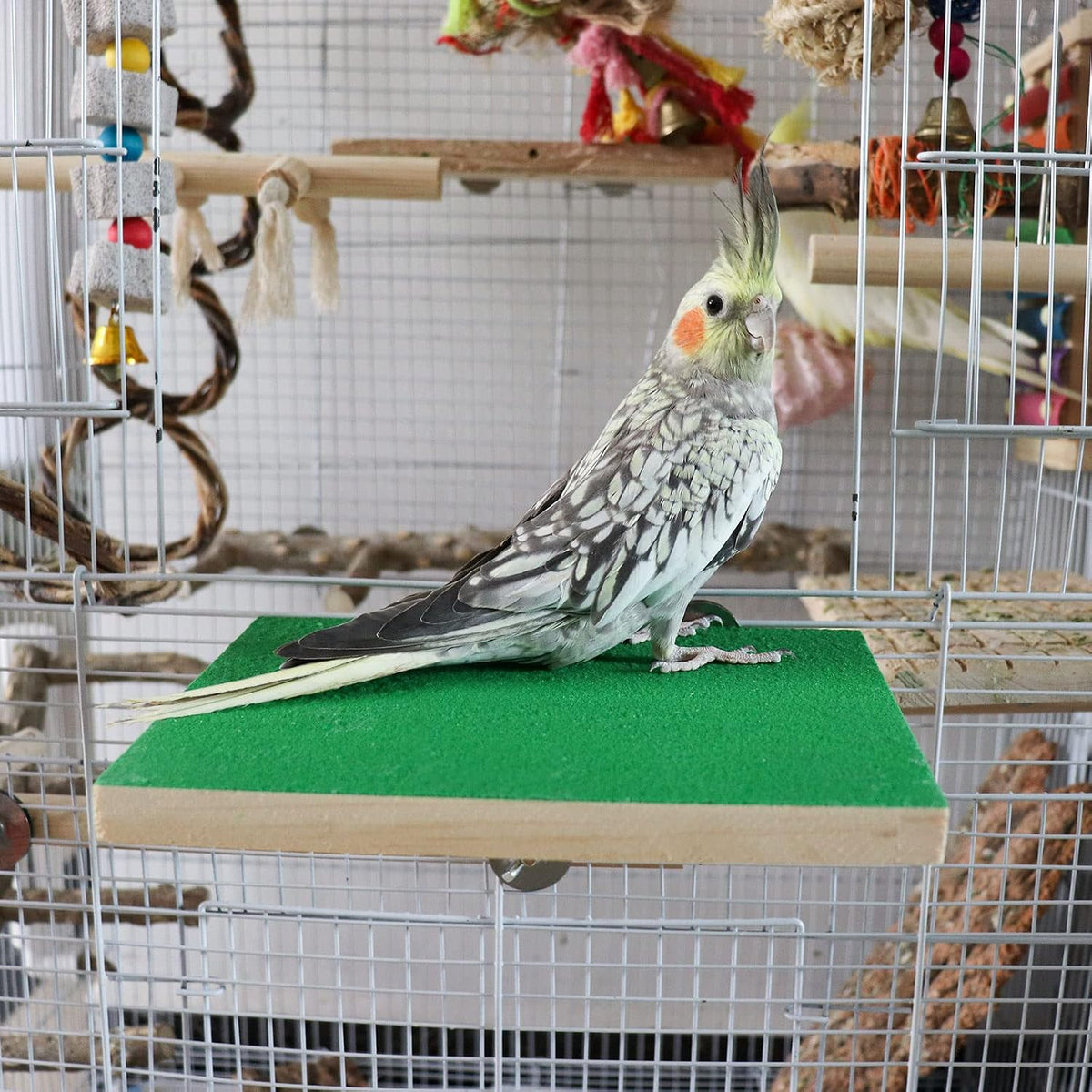 15.7×10.4 Inches Large Bird Perch Stand Platform - 7.9 × 5.9 Inches Green - image 2