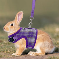 Plaid Breathable Rabbit Harness and Leash Set Escape Proof - Purple / S - image 2