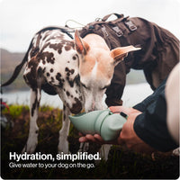 SÄKER Portable Dog Water Bottle - Olive / 750ml - image 2