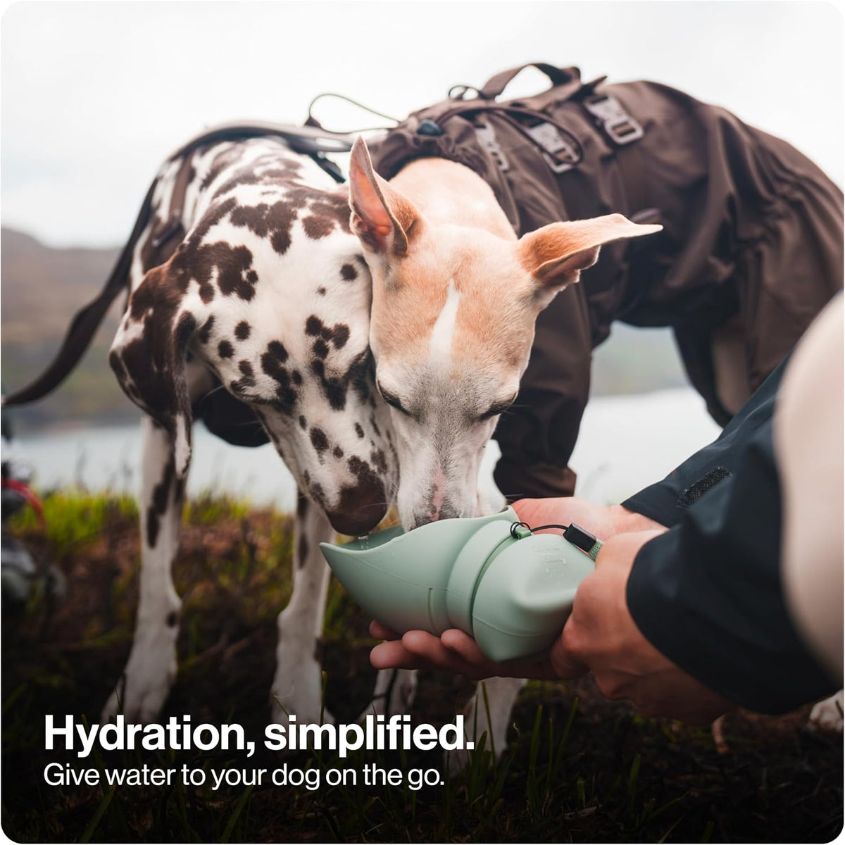 SÄKER Portable Dog Water Bottle - Olive / 750ml - image 2