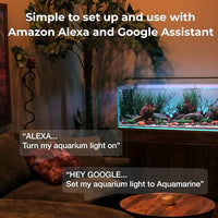 CURRENT USA ColorPlus Smart Freshwater Aquarium & Terrarium LED Light with App and Voice Control | Alexa & Google Home Compatible | Extra Vivid Colors for Fish Tank| Aluminum (for Tanks 24" to 35")