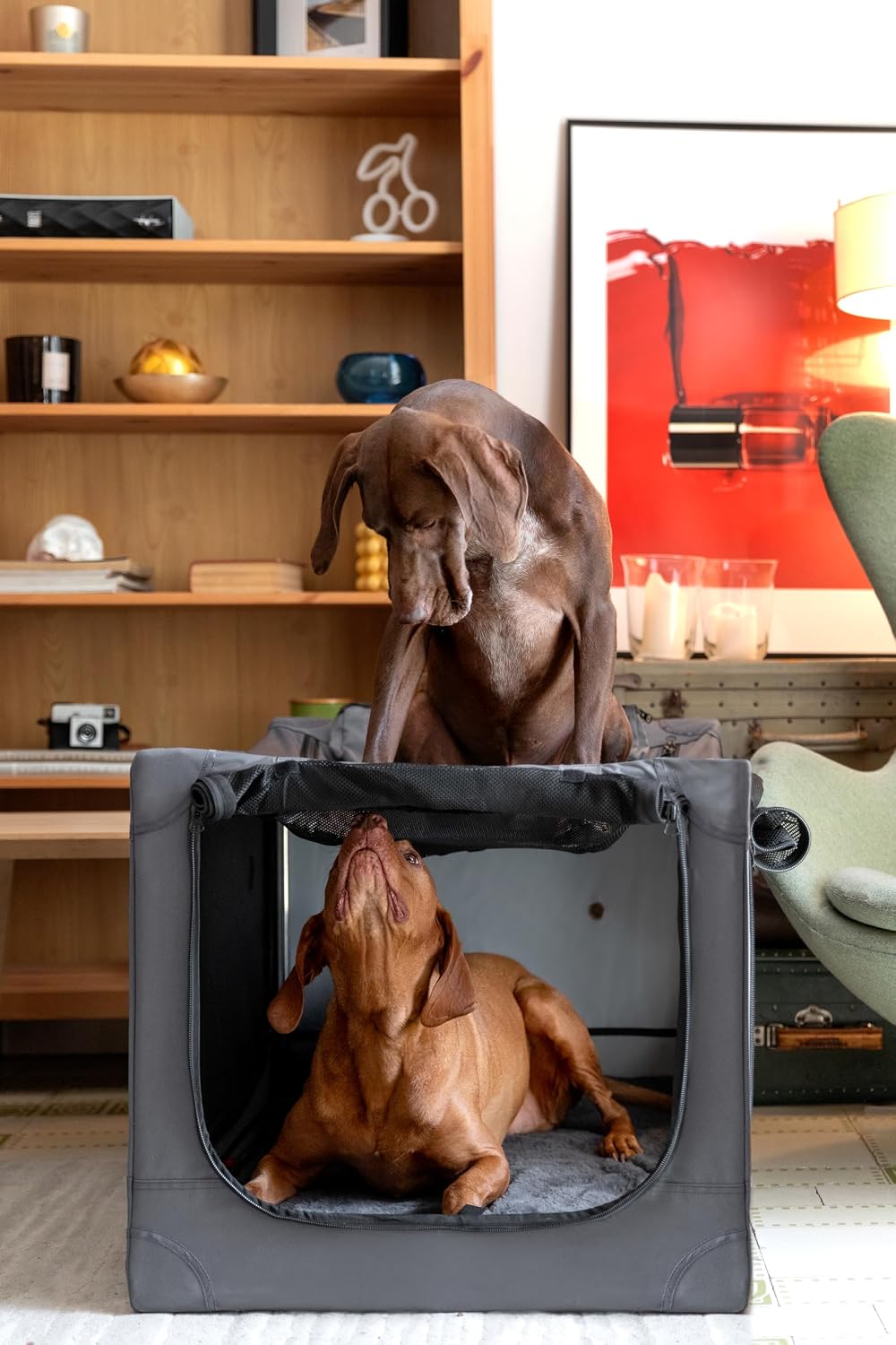 Noah & Paw XXL Collapsible Dog Crate, 42" - Grey / 35.5"L x 25.2"W x 23.4"H - image 2