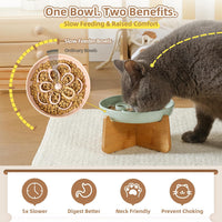Melamine Cat Slow Feeder Bowl Set - Blue / 1 PACK - with Stand - image 3