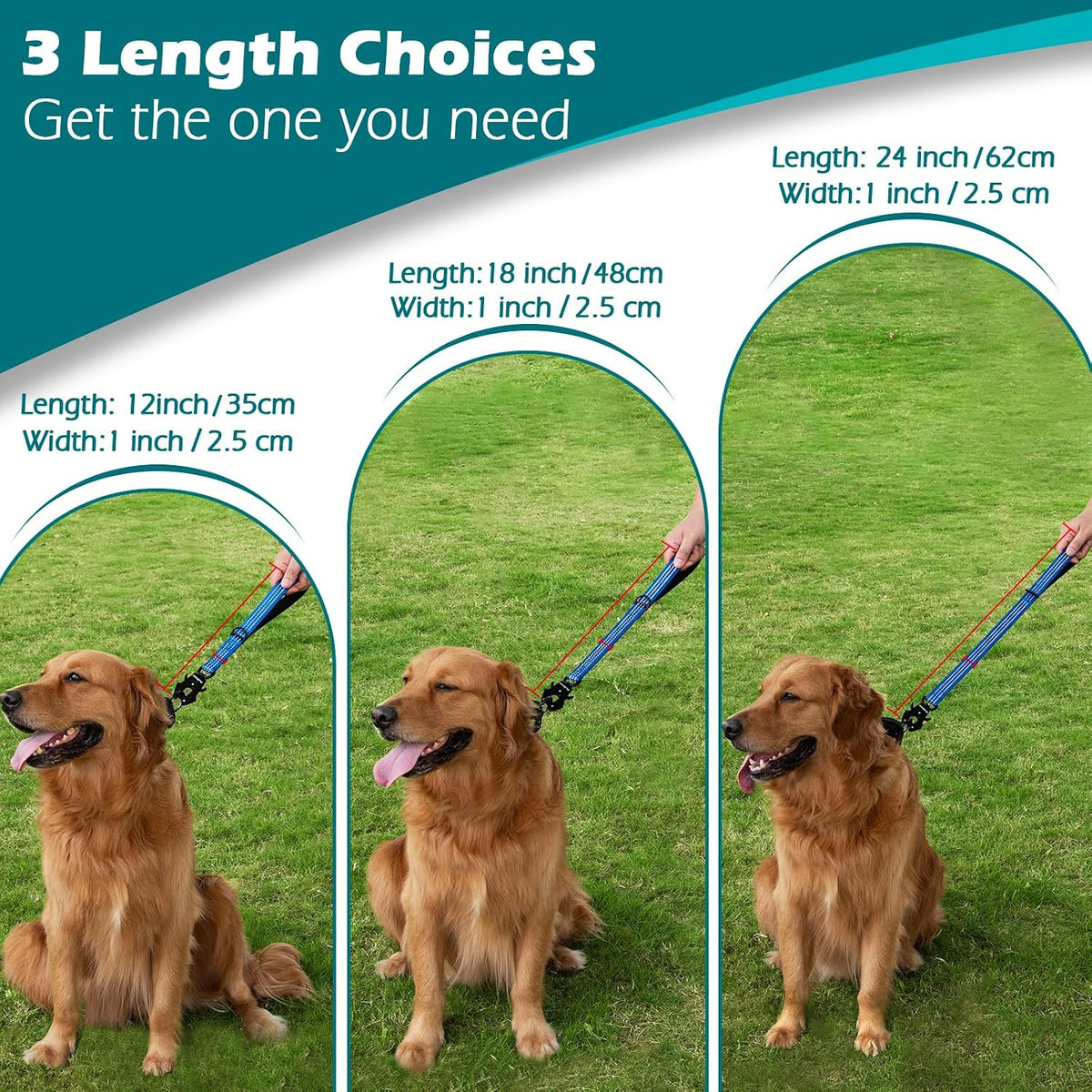 Heavy Duty Short Dog Leash - Dark Blue / 18 Inch - image 4